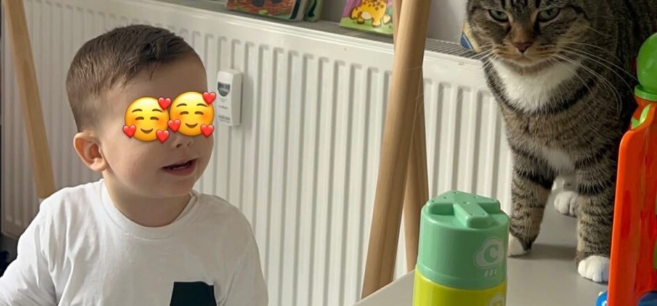 Gemeinsam wachsen bei Bumblebee Academy Stuttgart